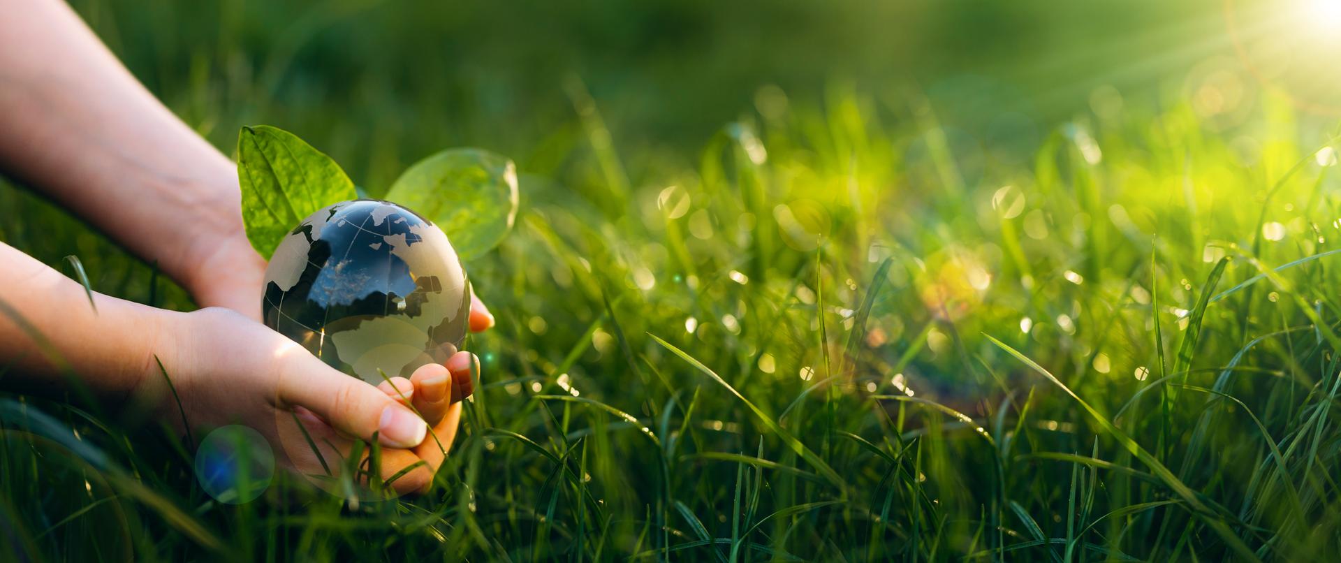 Efficient ESG Reporting industries expertise