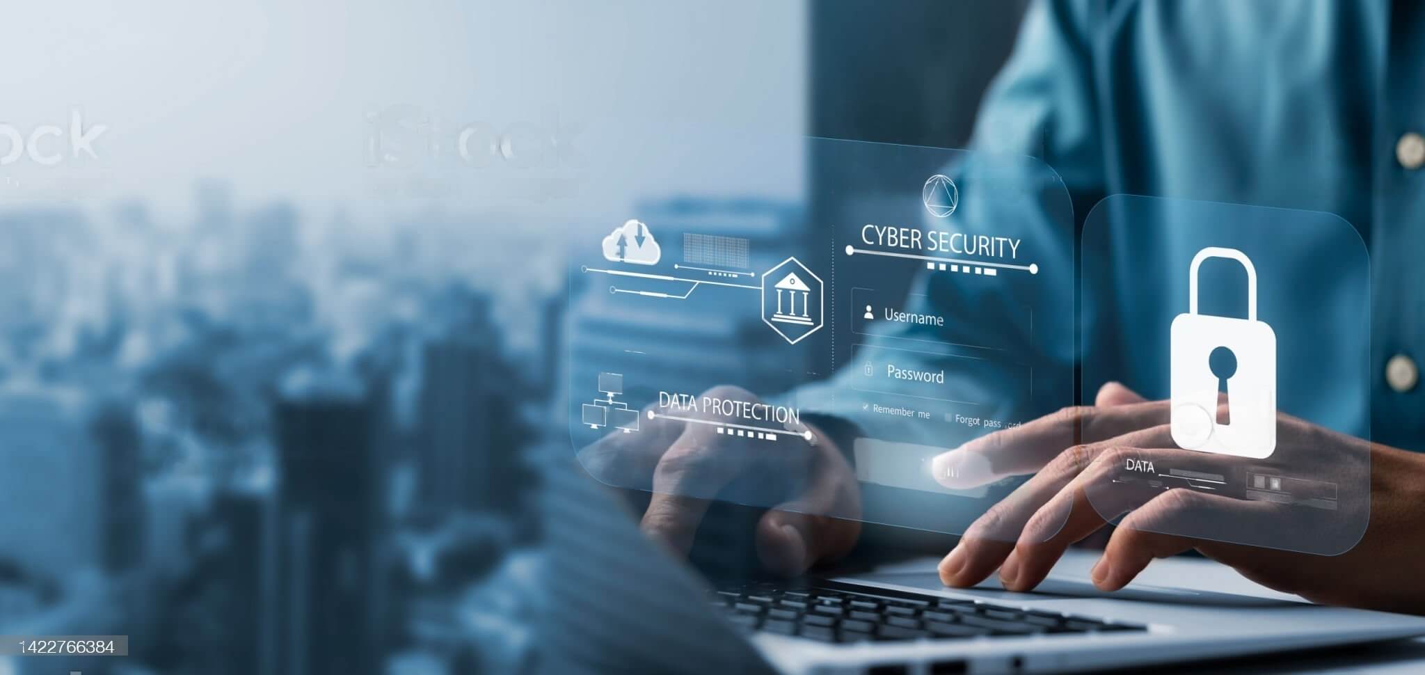 Cybersecurity and Data Protection: Creating Value in a World of Risks Anticipation